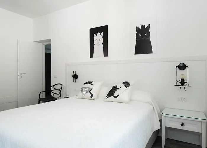 Il Gatto Franco * アマルフィ