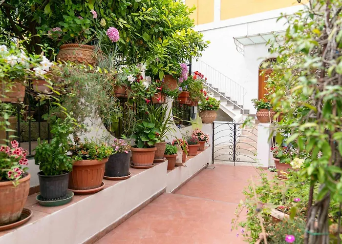 Il Gatto Franco * アマルフィ