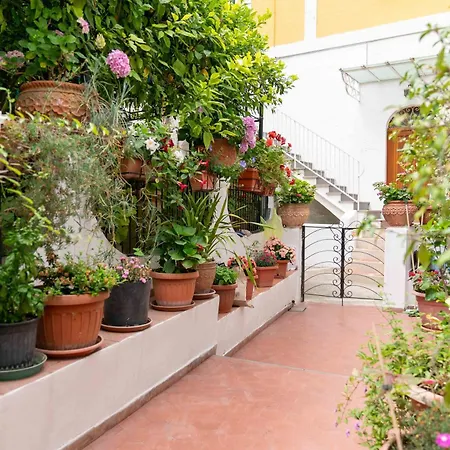 Il Gatto Franco * 아말피