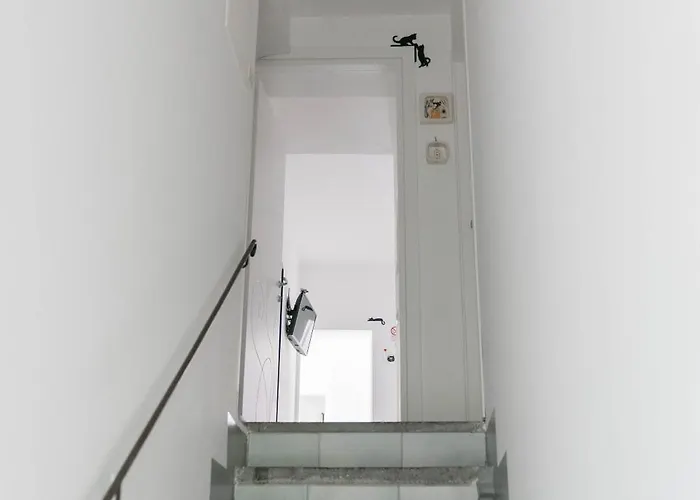 Il Gatto Franco * 아말피