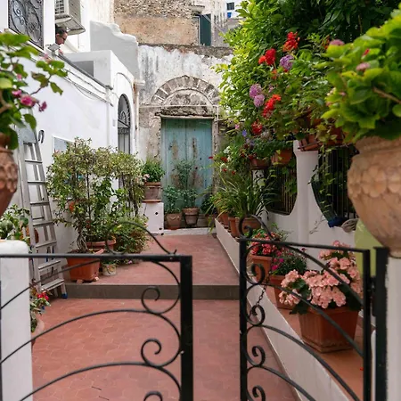 Apartamento Il Gatto Franco