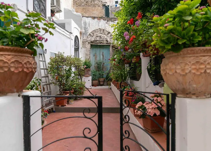 Apartament Il Gatto Franco