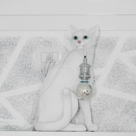 Il Gatto Franco Daire Amalfi